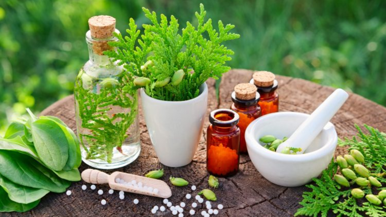 blog_image/Naturopathy.png